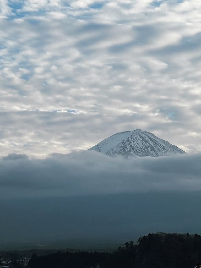 ชมวิวฟูจิซัง ริมทะเลสาบ 🗻