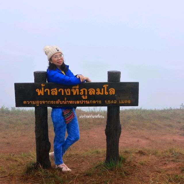 ฟ้าสางที่ภูลมโล อุทยานแห่งชาติภูหินร่องกล้า