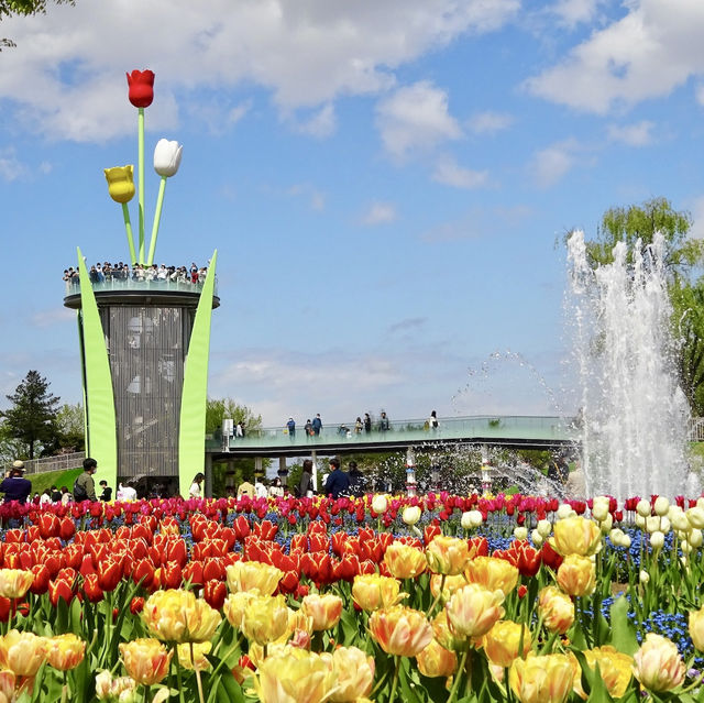 Tonami Tulip Park 💐🌷