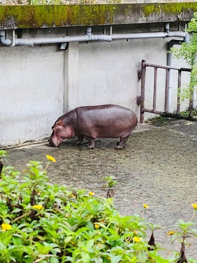 台灣親子遊景點