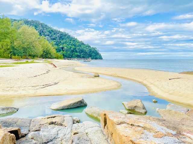 To explore its natural treasures.