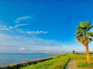 Kanedasazanami Park 