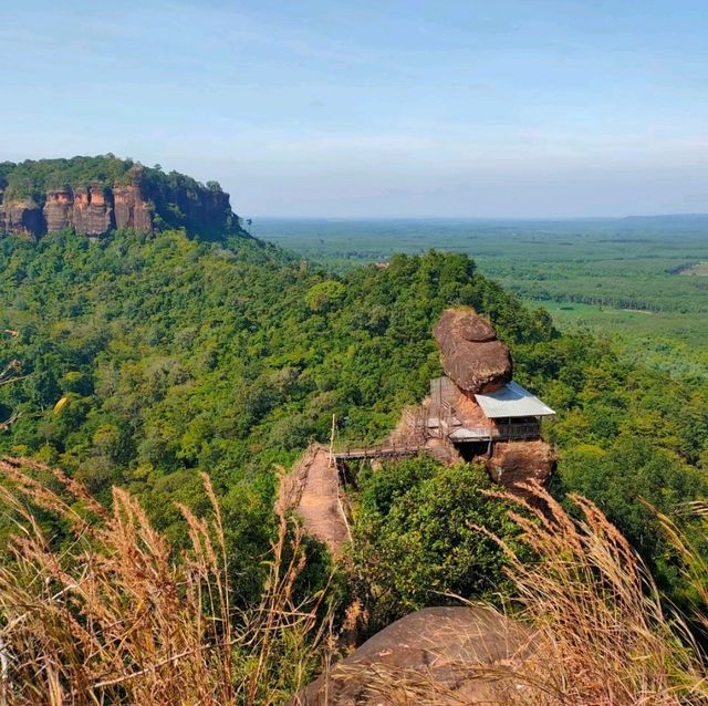 วัดภูทอก