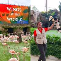 Tips for Visiting Bird Paradise