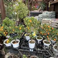 植物園！？素敵すぎる園芸ショップ！