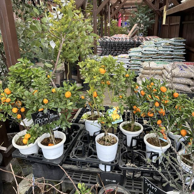 植物園！？素敵すぎる園芸ショップ！