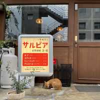 田浦エリア（カフェ・雑貨屋巡り）