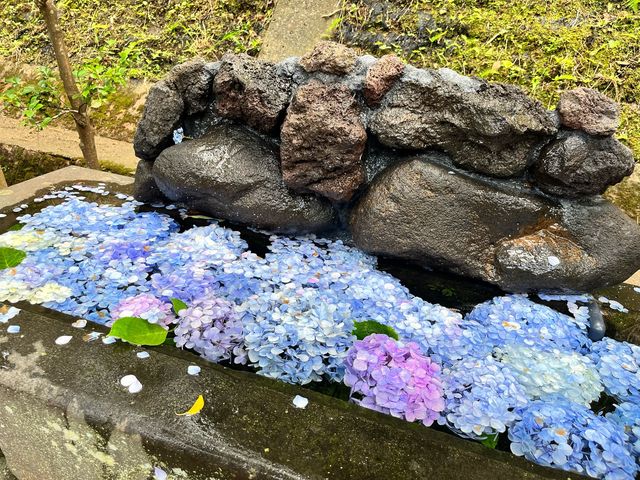 【江ノ島】新江ノ島水族館と江ノ島観光