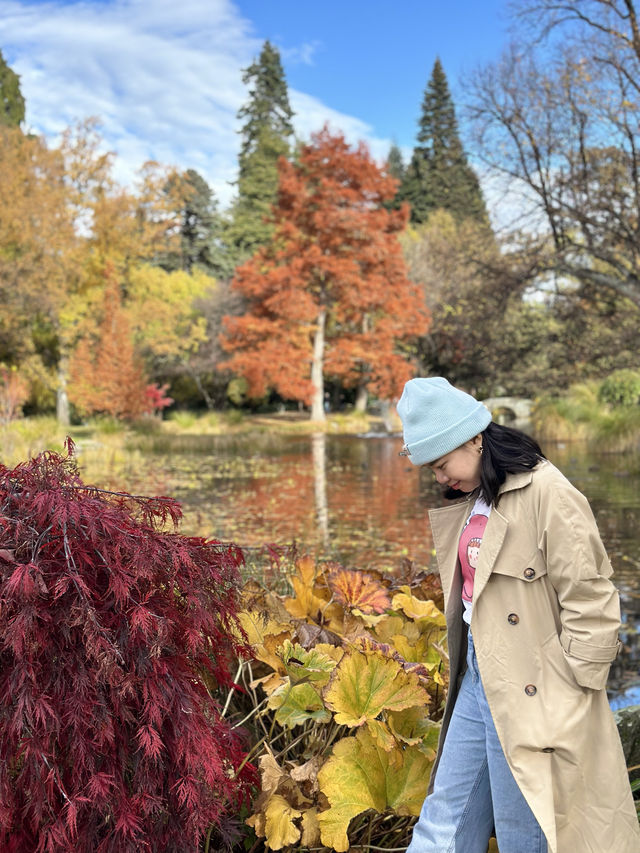 Autumn in Paradise on Earth New Zealand 