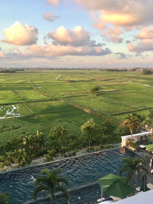 🇻🇳 越南酒店推薦｜會安小眾稻田無邊際泳池酒店🌾