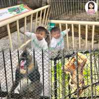一個超多種課本才看到的動物天地