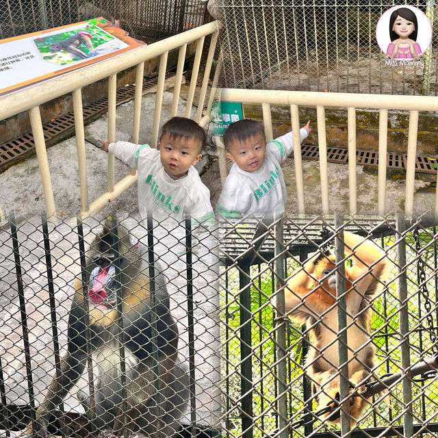 一個超多種課本才看到的動物天地