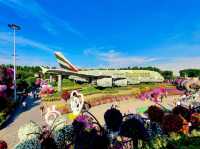 Dubai Miracle Garden