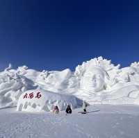 Discovering Harbin's Winter Magic