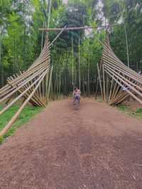 【デートにおすすめ🎋若山農場】