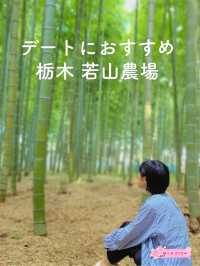 【デートにおすすめ🎋若山農場】