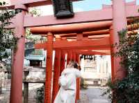 日本🇯🇵 | 名古屋兔仔神社你去過嗎⛩️