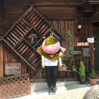 ชิราคาวาโกะ (Shirakawa-go) หมู่บ้านมรดกโลก