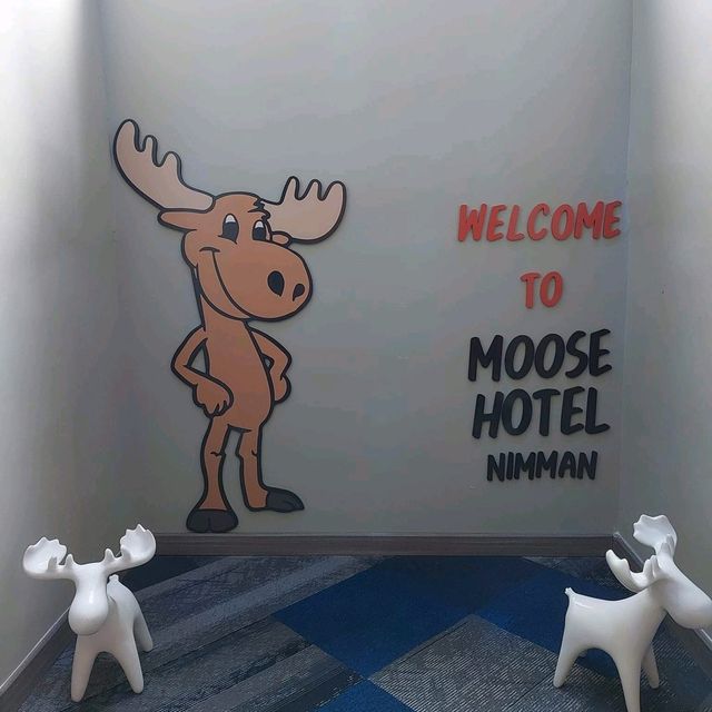 Moose Hotel Nimman 