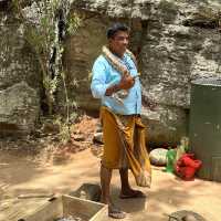 Srilanka Snake guy
