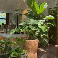MiVana Organic Forest Coffee