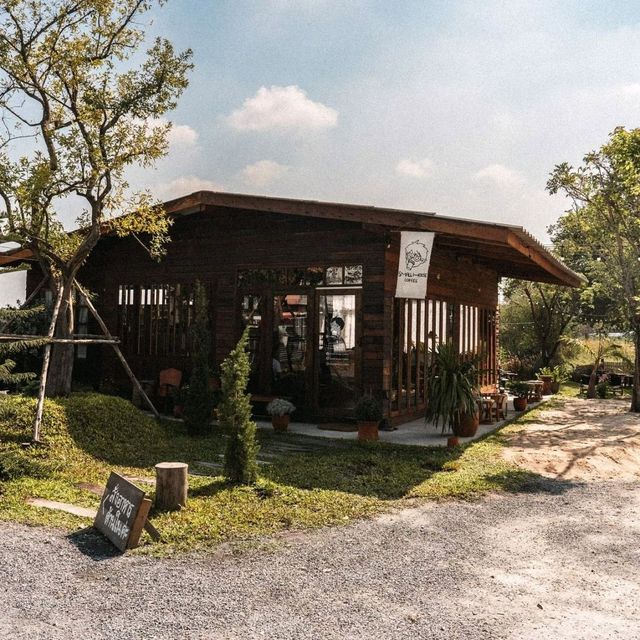 cafe