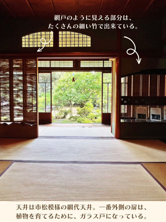 【埼玉】レトロかわいい老舗菓子屋のお屋敷🏠