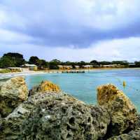 Rottnest Island: A Day in Paradise