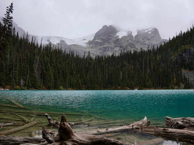 Nature’s Beauty Beckons @ Joffre 🏔️