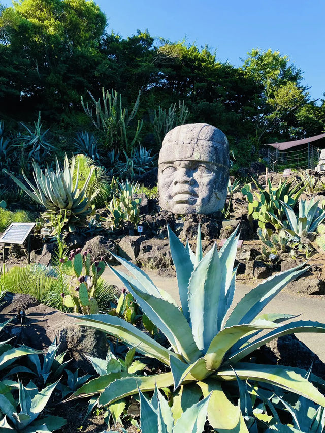 【伊豆】世界中のサボテンと動物たちと触れ合える伊豆シャボテン動物公園🌵🦚