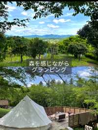【茨城】森の中にキラキラと輝くシャガの群生 お花の楽園