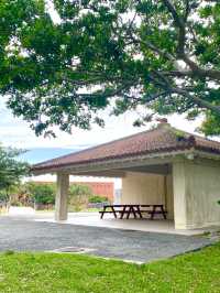 【沖繩海洋博公園】🌳讓遊客瞬間進入綠色世界🌿