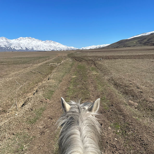 Lovely horse ride in chon lemon National park