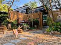 ที่พักริมน้ำแม่กลอง ราชบุรี ฉบับคนมีหมา 