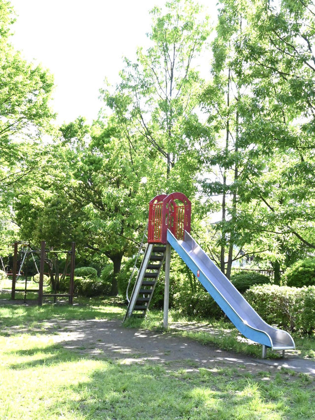 【久米川熊野神社/東京都】古き良きを感じる神社