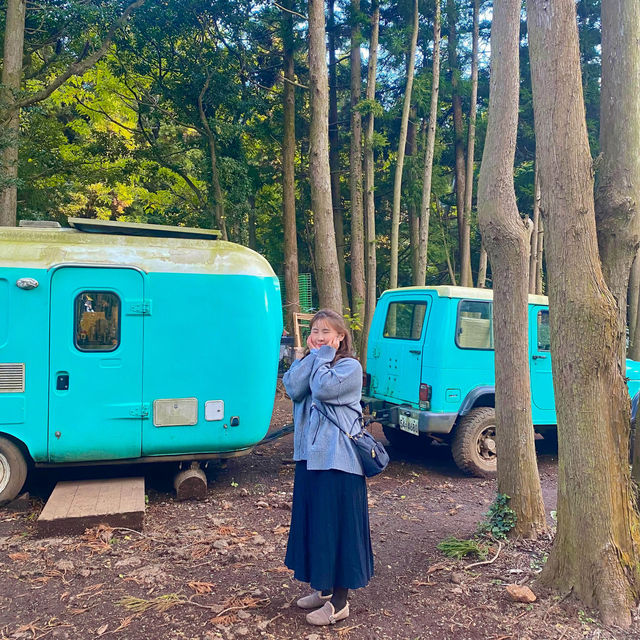 제주 숲이 너무 아름다운 안돌오름 비밀의 숲🌳🚙