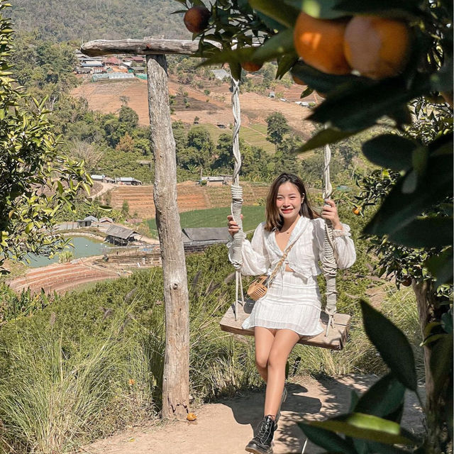 JINJU the orange farm