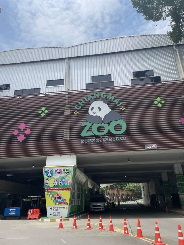 ไปดูสัตว์ที่สวนสัตว์เชียงใหม่
