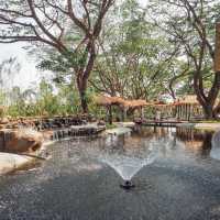 Big Tree Cafe