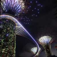 【必看景點】新加坡濱海灣花園：雲霧森林、花穹、擎天樹空中步道