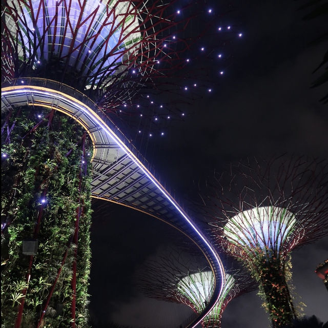 【必看景點】新加坡濱海灣花園：雲霧森林、花穹、擎天樹空中步道