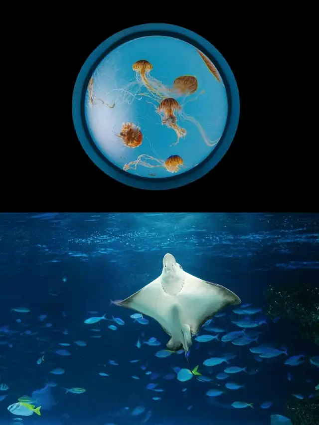 Sunshine Aquarium