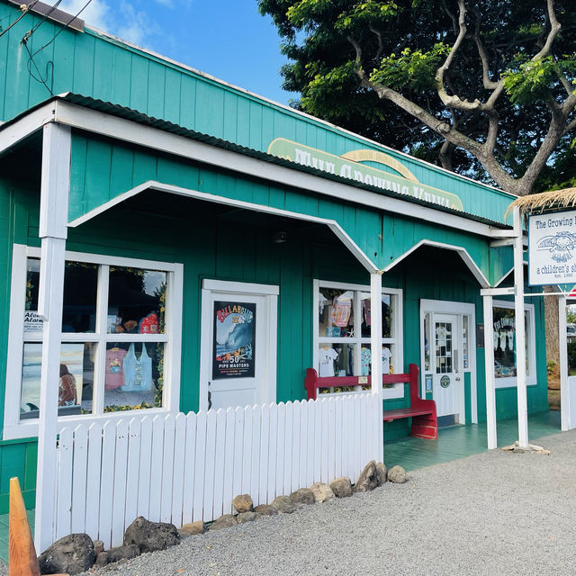 【ハワイ】カメハメハ通りにあるお店