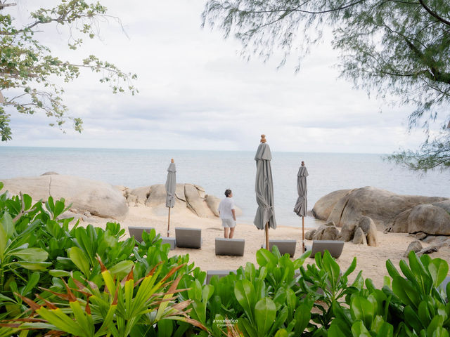 Veranda Collection Samui  🌴