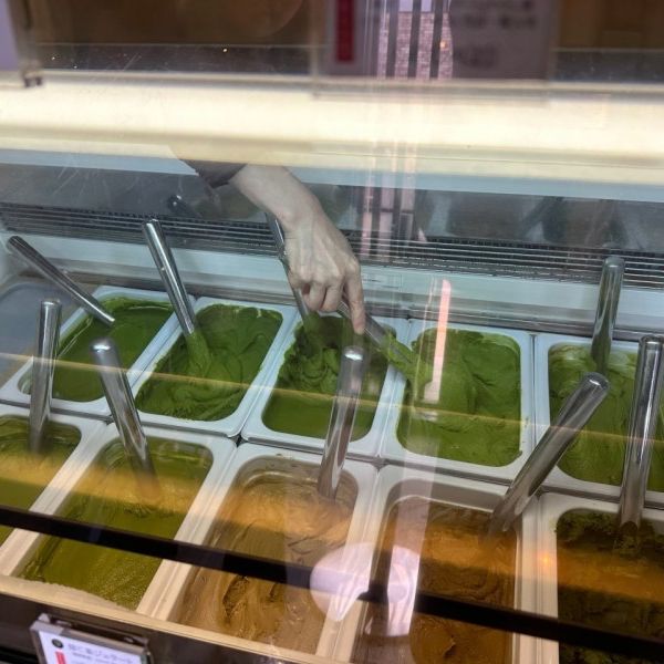 유후인 녹차 아이스크림 '테라토 녹차 젤라또'🍦