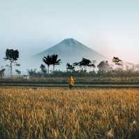 Indonesia the Wonders and Cultures in Asia