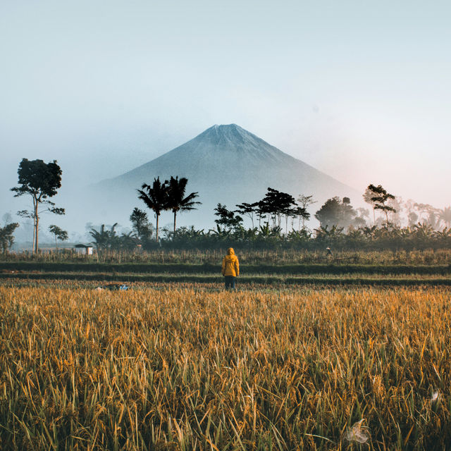 Indonesia the Wonders and Cultures in Asia