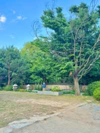 사랑이 꽃피는 이곳은 데이트하기 좋은 일산🌳🥰