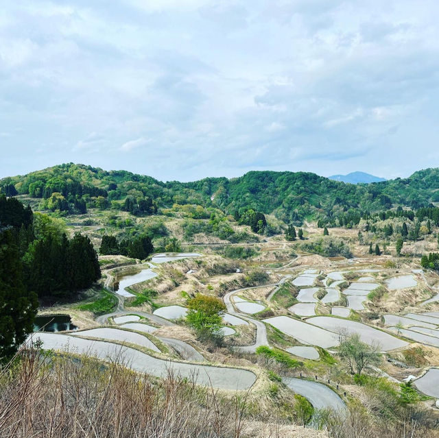星峠の棚田