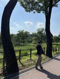 마음의 안정을 찾아주는 이국적인 공원, 용산 가족 공원🌳